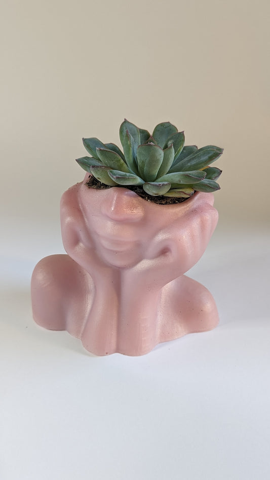 Succulent pot