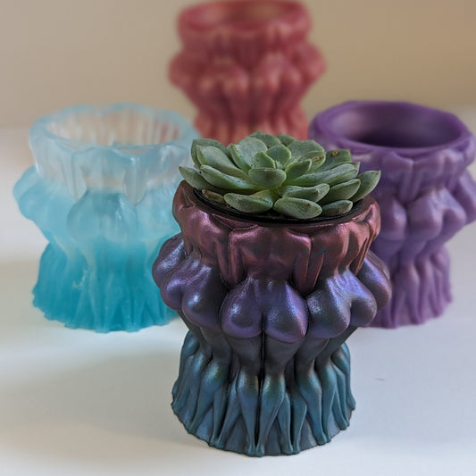 Cheeky Succulent Plant Pot